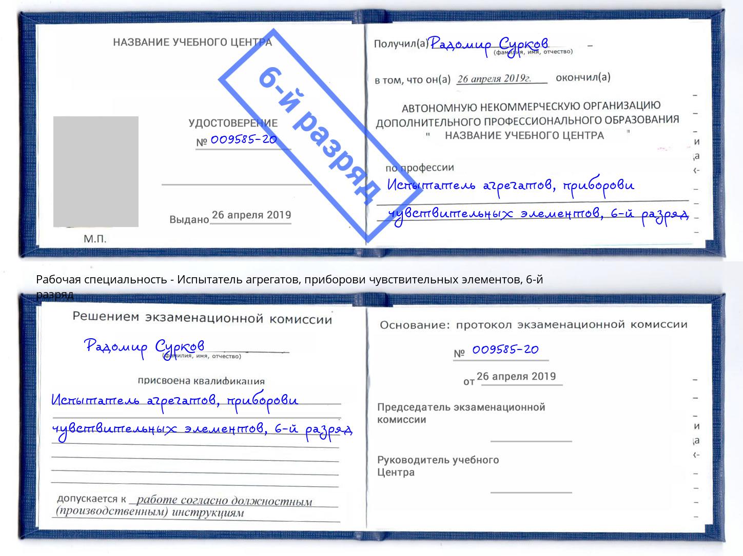корочка 6-й разряд Испытатель агрегатов, приборови чувствительных элементов Приморско-Ахтарск